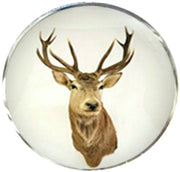Bassin and Brown Stags Head Cufflinks - Brown/White