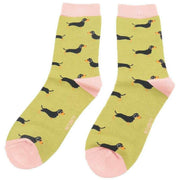 miss-sparrow-london-3-pack-little-sausage-dogs-sock-box---bluegreenyellow-34596466