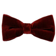 Sophos Velvet Bow Tie - Wine