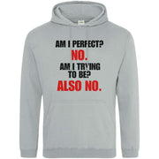 Teemarkable! Am I Perfect Hoodie Light Grey / Small - 96-101cm | 38-40"(Chest)