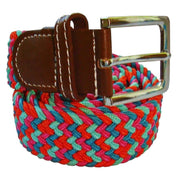 Bassin and Brown Elasticated Woven Belt - Multi-colour