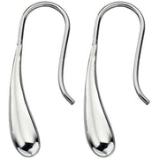 Beginnings Long Drops Drop Earrings - Silver